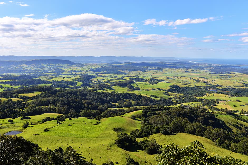 Green rolling countryside, with the sea in the distance